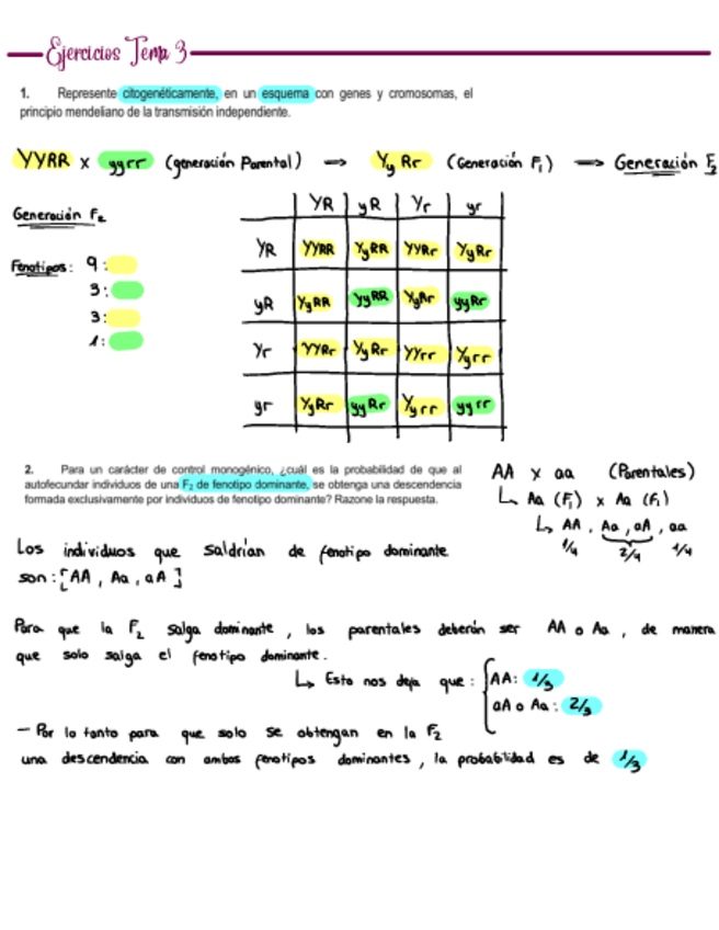 Miniatura del documento Problemas-Tema-3.pdf