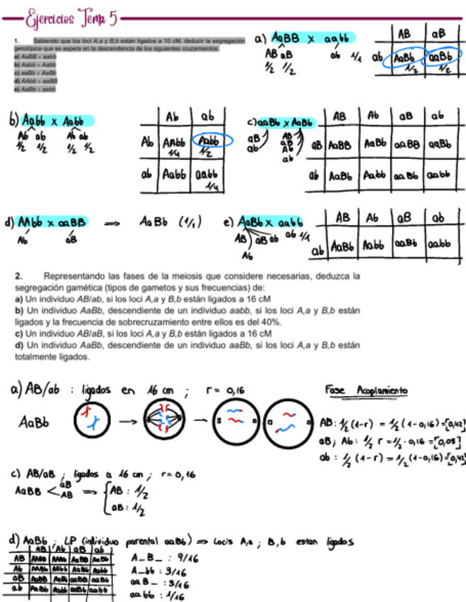 Miniatura del documento Problemas-Tema-5.pdf