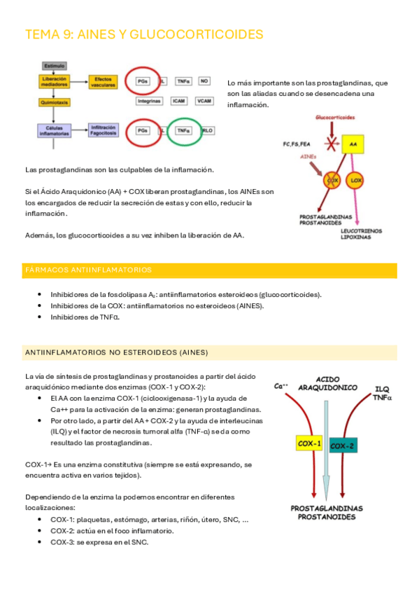 Miniatura del documento TEMA-9-AINES.pdf