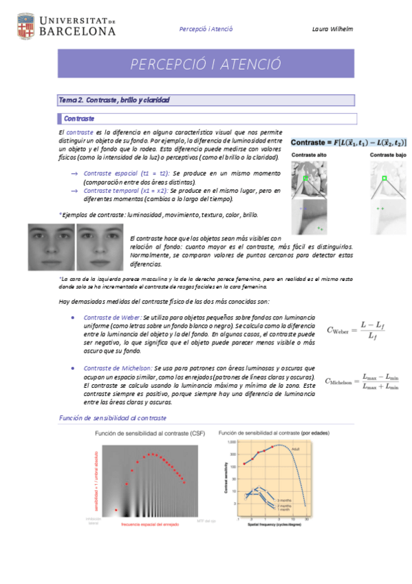 Miniatura del documento Tema-2-Contraste-brillo-y-claridad.pdf