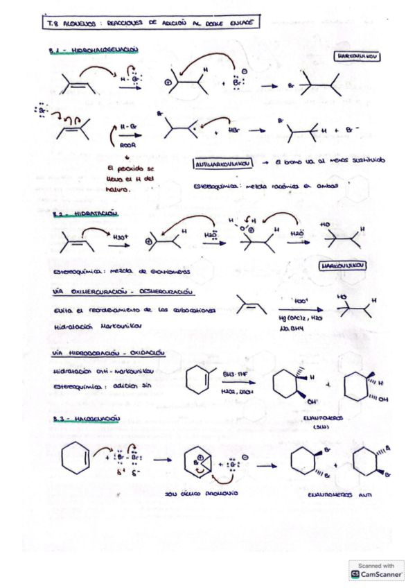 Miniatura del documento Tema-8-resumen-reacciones.pdf