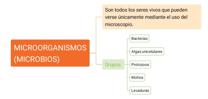 Miniatura del documento BIOLOGIA-1ESO-TEMA-MICROORGANISMOS.pdf