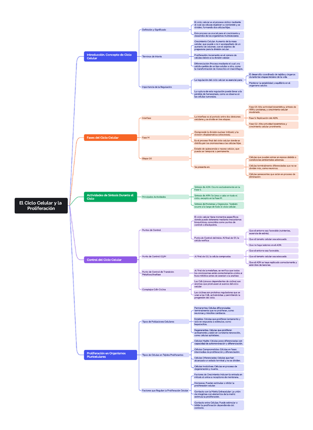 Miniatura del documento meiosis-mind-map.pdf