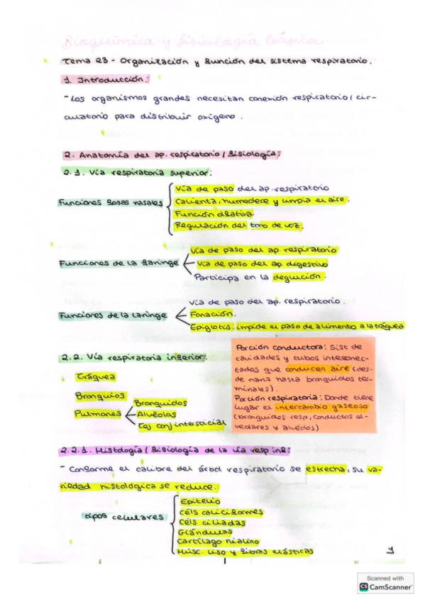 Miniatura del documento Bq-Fisiologia-temas-23-24.pdf