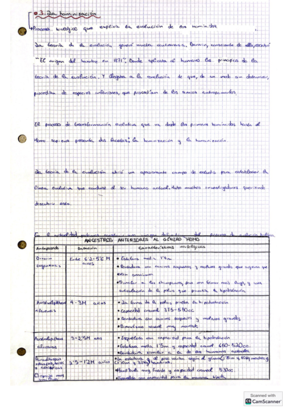 Miniatura del documento evolucion-y-hominizacion.pdf