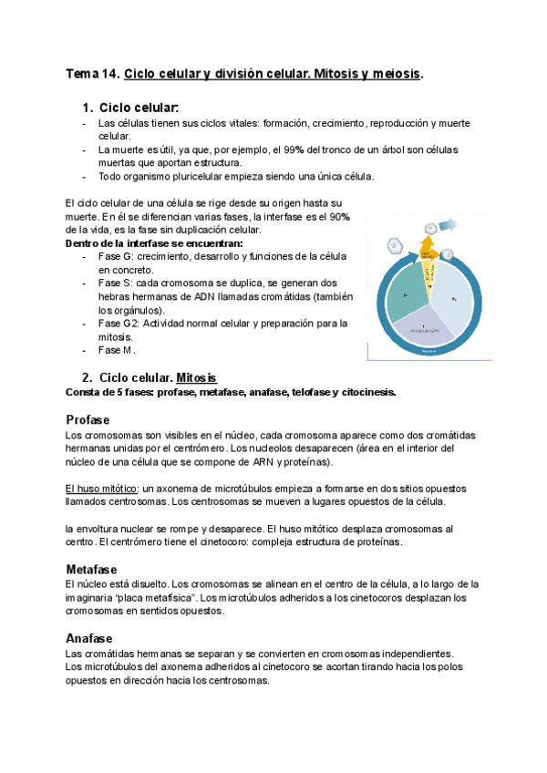 Miniatura del documento Tema-14.-Biologia-vegetal-Ciclo-celular-y-division-celular.pdf