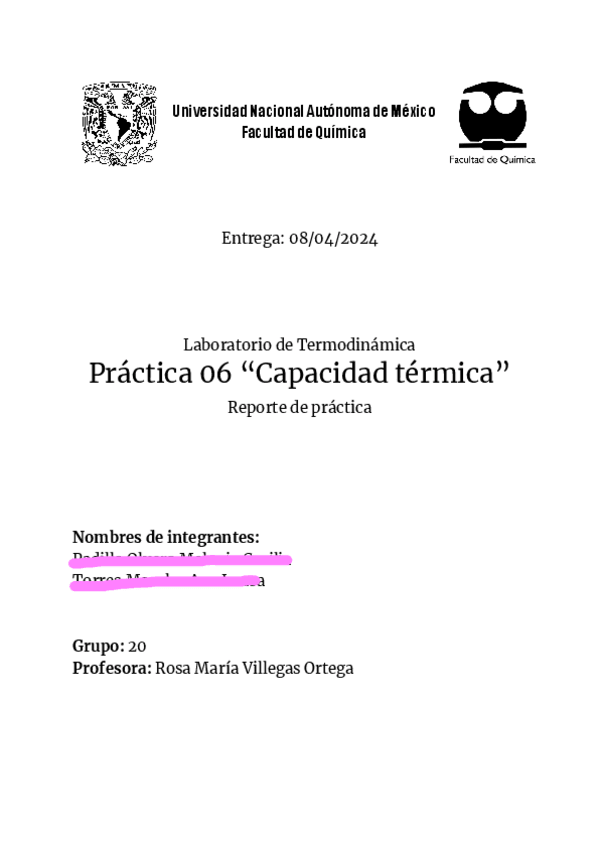Miniatura del documento Reporte-Capacidad-termica.pdf