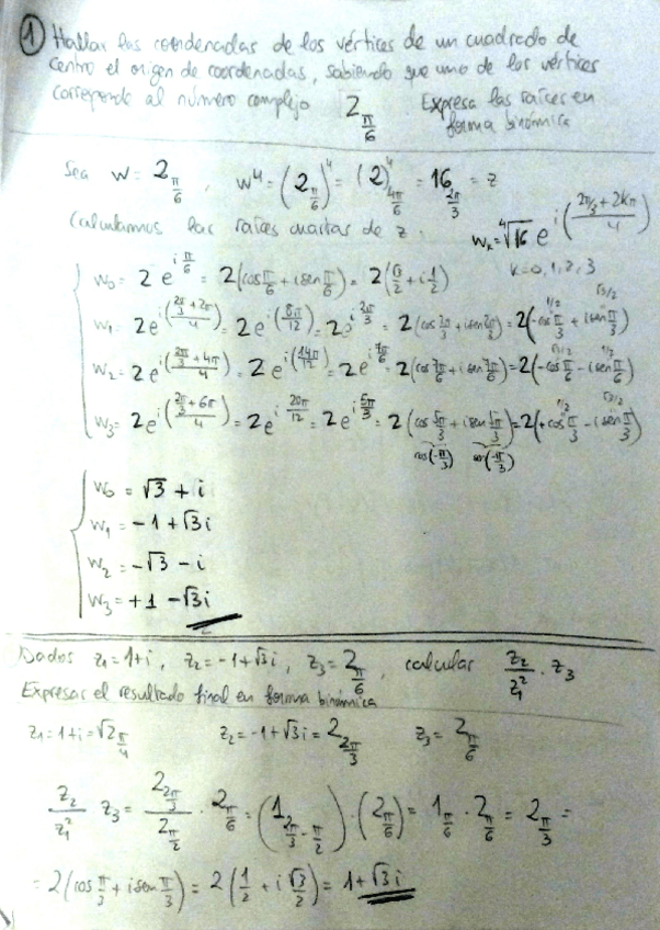 Miniatura del documento resolucion_PARCIAL.pdf