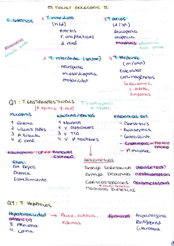 Miniatura del documento Paciente-Oncologico-II.pdf
