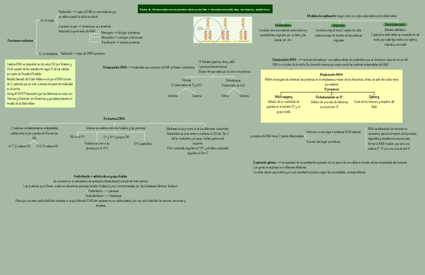 Miniatura del documento Tema-6.pdf