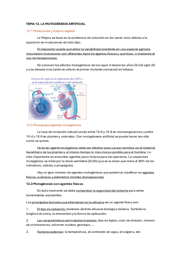 Miniatura del documento Tema-12.-La-mutagenesis-artificial.pdf