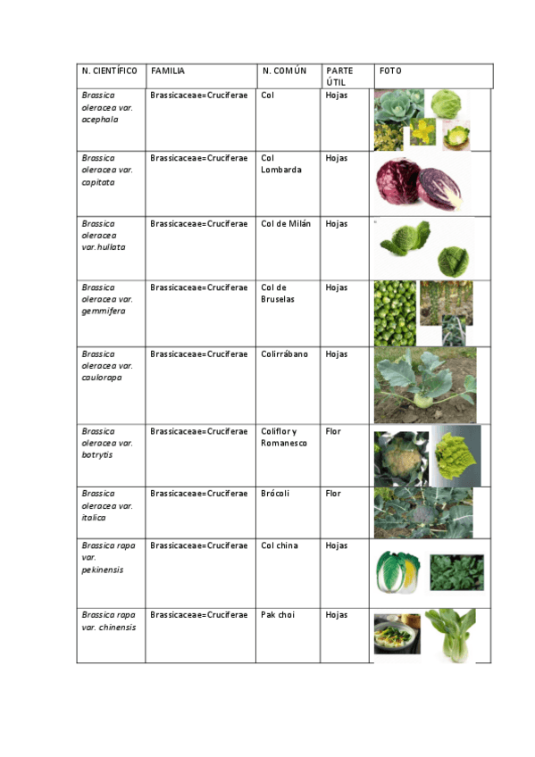 Miniatura del documento VISU-BOTANICA-COMPLETO.pdf