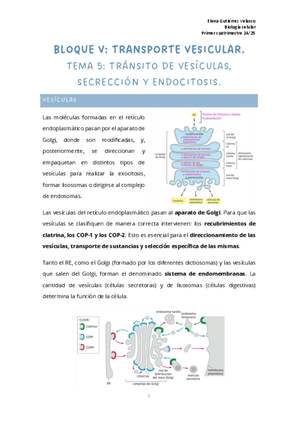 Miniatura del documento tema-5-transito-de-vesiculas-secreccion-y-endocitosis.pdf