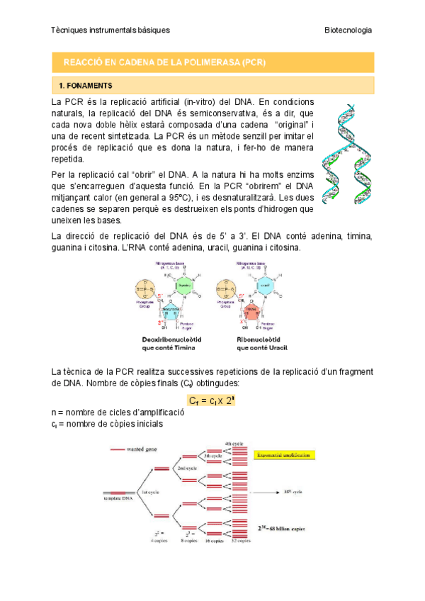 Miniatura del documento TIB-Tema-7-Reaccio-en-cadena-de-la-polimerasa-PCR.pdf