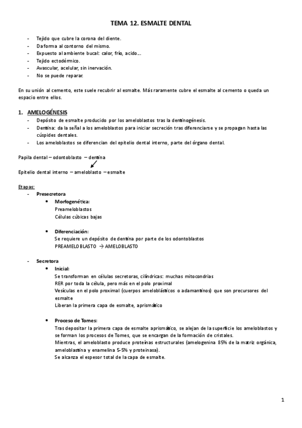 Miniatura del documento T12.-Histologia.pdf