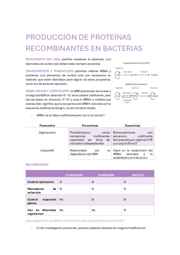 Miniatura del documento TEMA-8-PRODUCCION-DE-PROTEINAS-RECOMBINANTES-EN-BACTERIAS.pdf