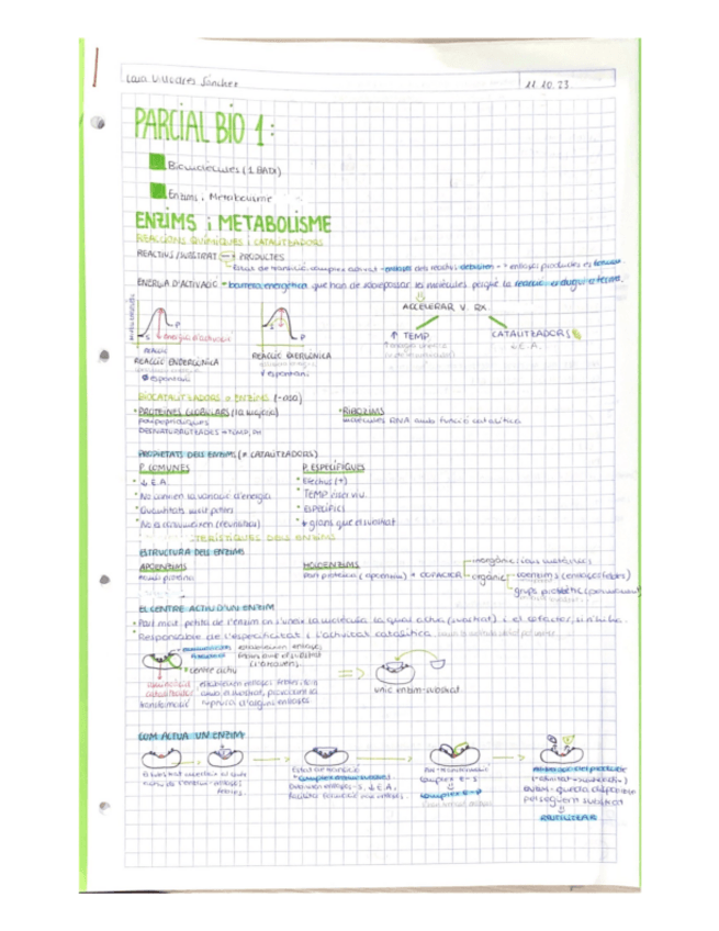 Miniatura del documento enzims-metabolisme.pdf
