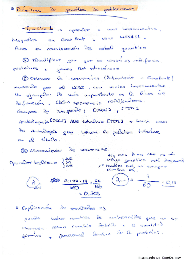 Miniatura del documento Practicas-24-25.pdf