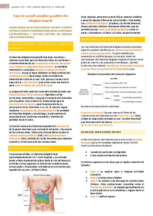 Miniatura del documento tema-15-ap-digest-fisio.pdf
