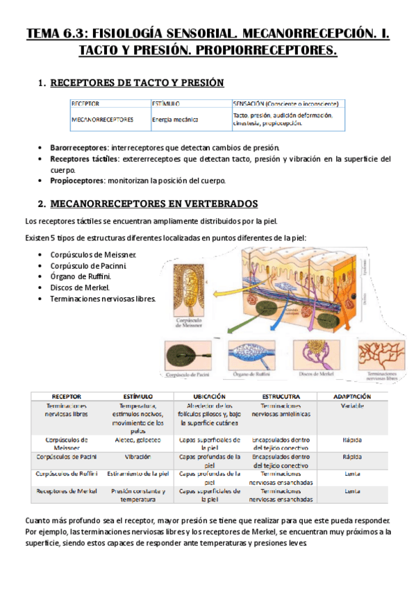 Miniatura del documento Teoria-tema-6.3.pdf
