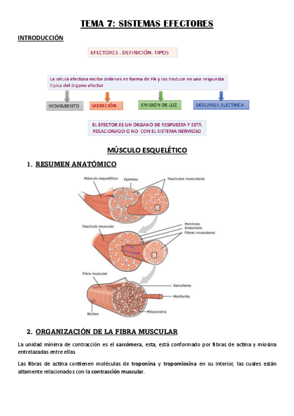 Miniatura del documento Teoria-tema-7.pdf