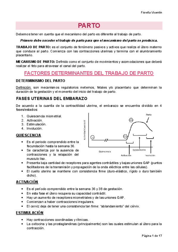 Miniatura del documento PARTO-Fiorella-Vicentin.pdf