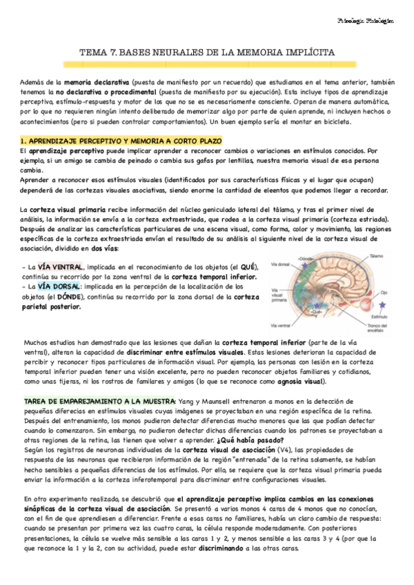 Miniatura del documento PFIS-Tema-7.pdf