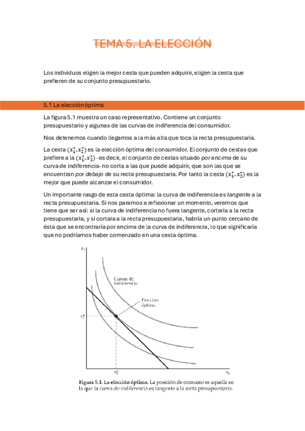 Miniatura del documento Tema-5-microeconomia-consumo.pdf