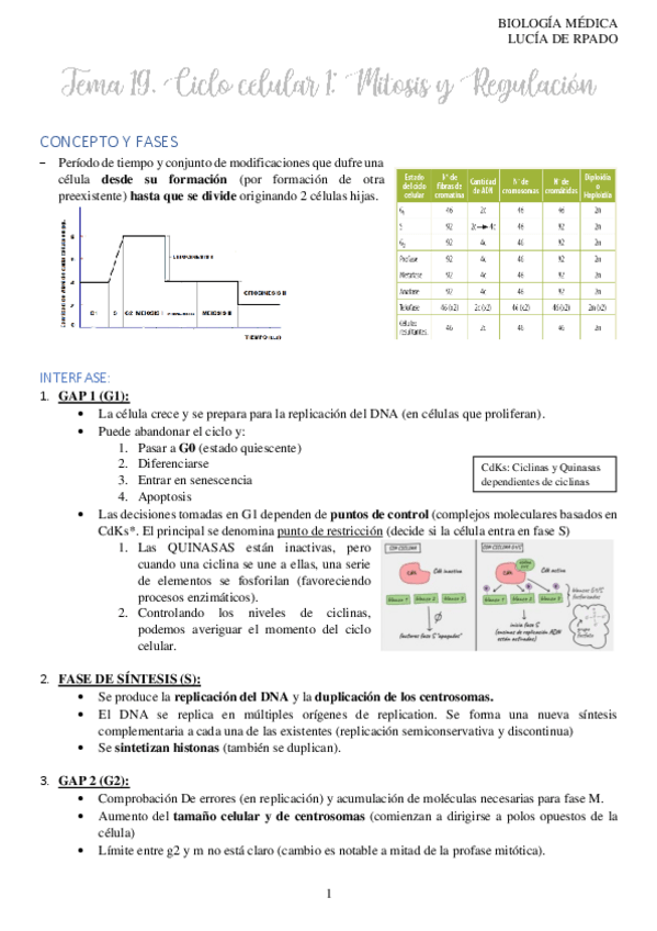 Miniatura del documento 19.-CICLO-CELULAR-I.-MITOSIS-Y-REGULACION-DEL-CICLO.pdf