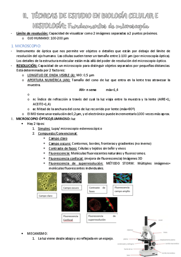 Miniatura del documento 2.-TECNICAS-DE-MICROSCOPIA.pdf