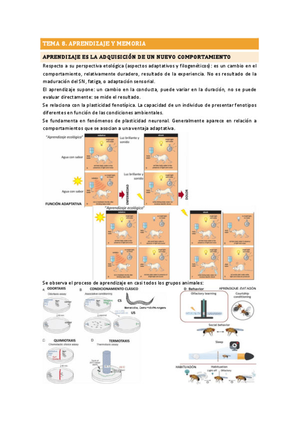 Miniatura del documento TEMA 8 ETOLOGÍA.pdf