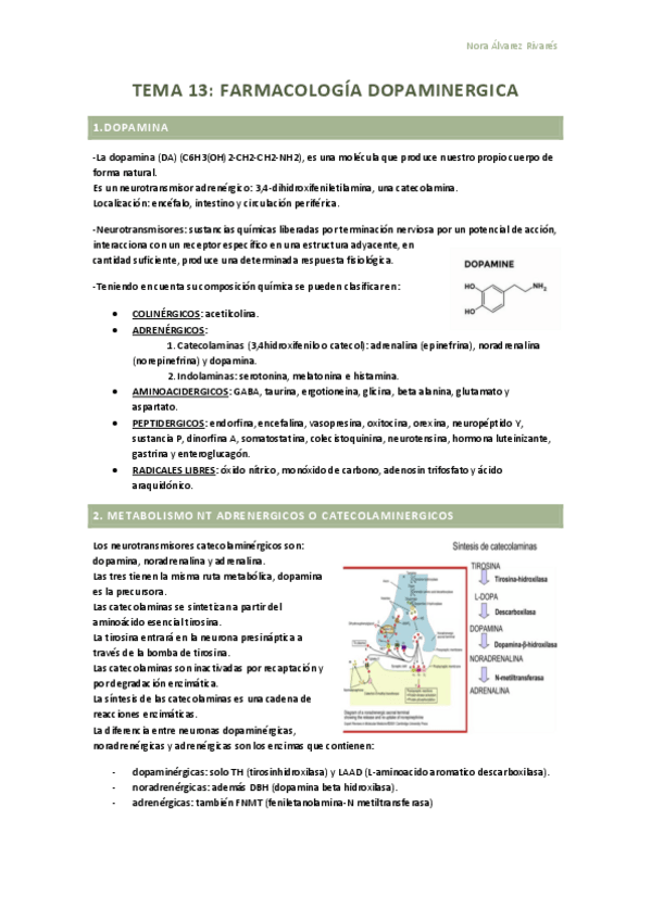 Miniatura del documento Tema-13.-Dopamina.pdf