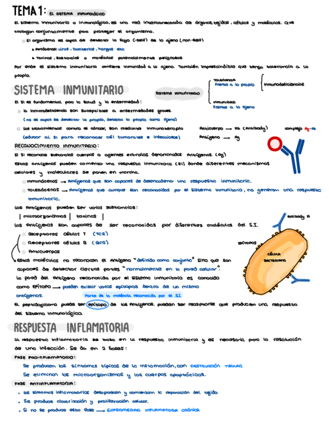Miniatura del documento TEMA-1.pdf