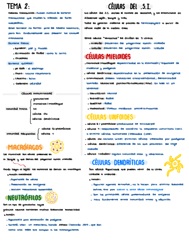 Miniatura del documento TEMA-2.pdf