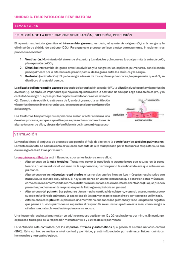Miniatura del documento FP DEL SISTEMA RESPIRATORIO (COMPLETO).pdf