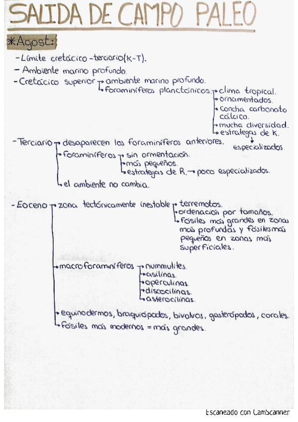 Miniatura del documento APUNTES-SALIDA-DE-CAMPO-PALEONTOLOGIA.pdf