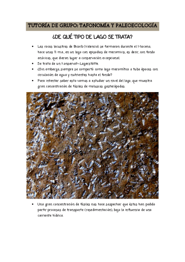 Miniatura del documento TUTORIA-DE-GRUPO.pdf