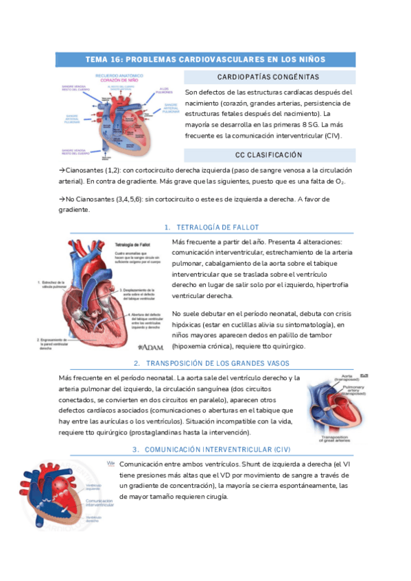 Miniatura del documento TEMA-16-INFANCIA.pdf
