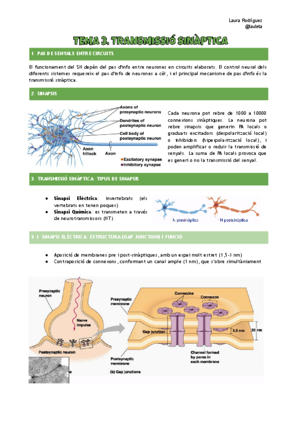 Miniatura del documento Apunts-tema-3-FCH-I.pdf