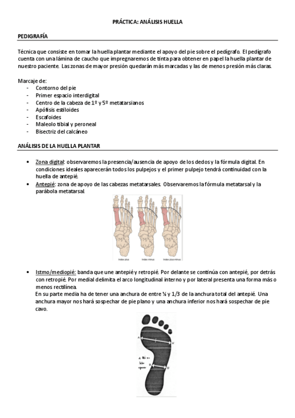 Miniatura del documento PRACTICA-2-adrian.pdf