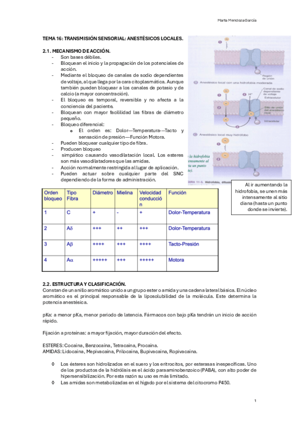 Miniatura del documento ANESTESICOS-LOCALES.pdf