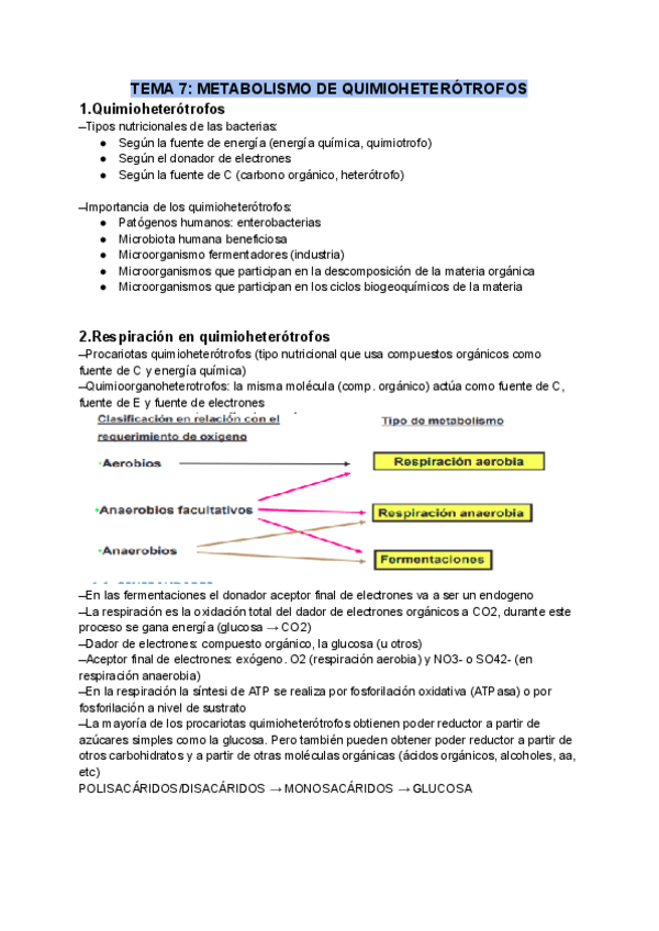 Miniatura del documento TEMA-7-METABOLISMO-DE-QUIMIOHETEROTROFOS.pdf
