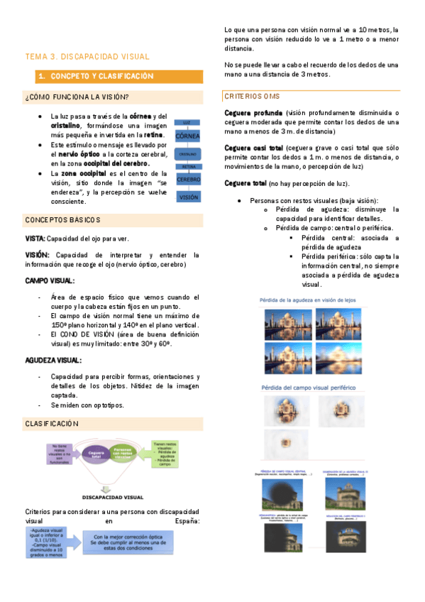 Miniatura del documento TEMA-3-Discapacidad-Visual.pdf