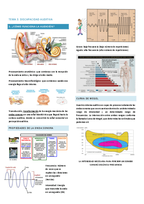 Miniatura del documento Tema-3-Discapacidad-Auditiva.pdf