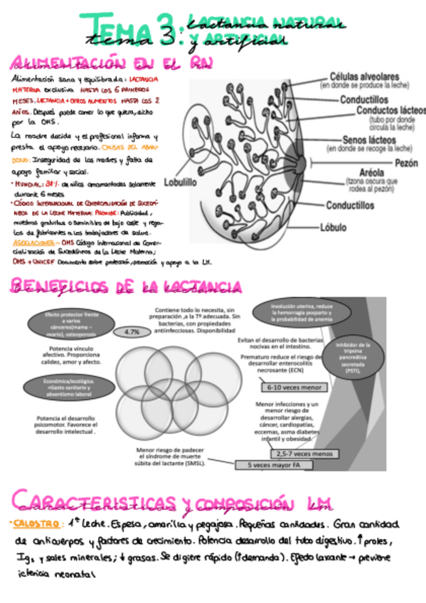 Miniatura del documento RESUMEN-TEMA-3-INFANCIA.pdf