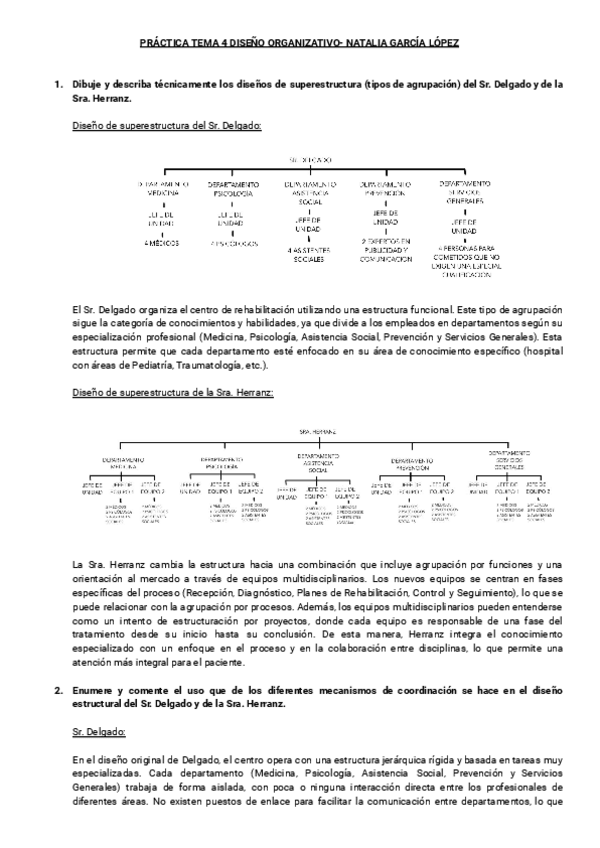 Miniatura del documento Practica-Diseno-Organizativo-Tema-4.pdf