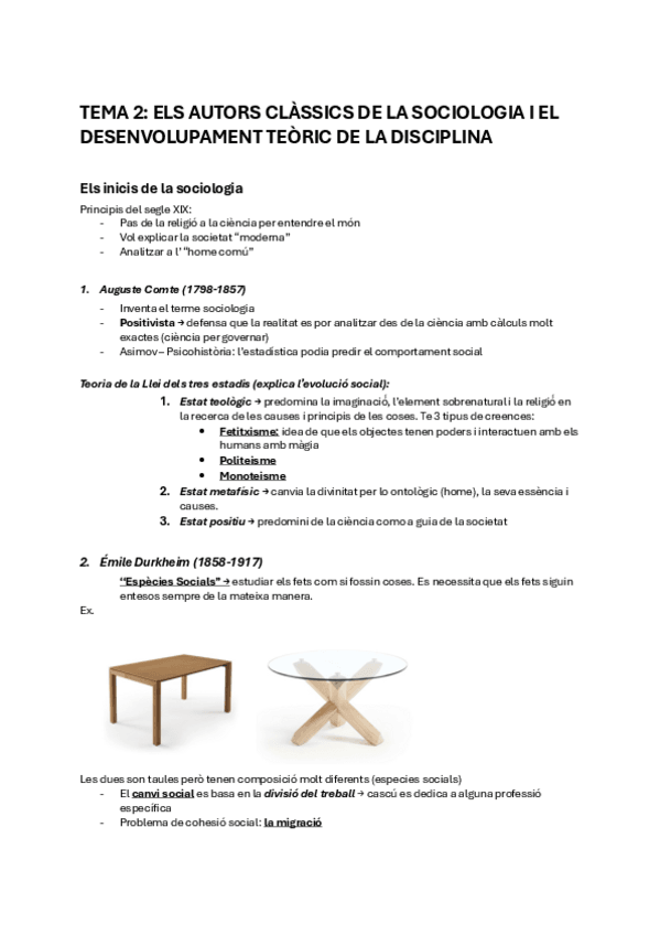 Miniatura del documento Sociologia-TEMA-2.pdf