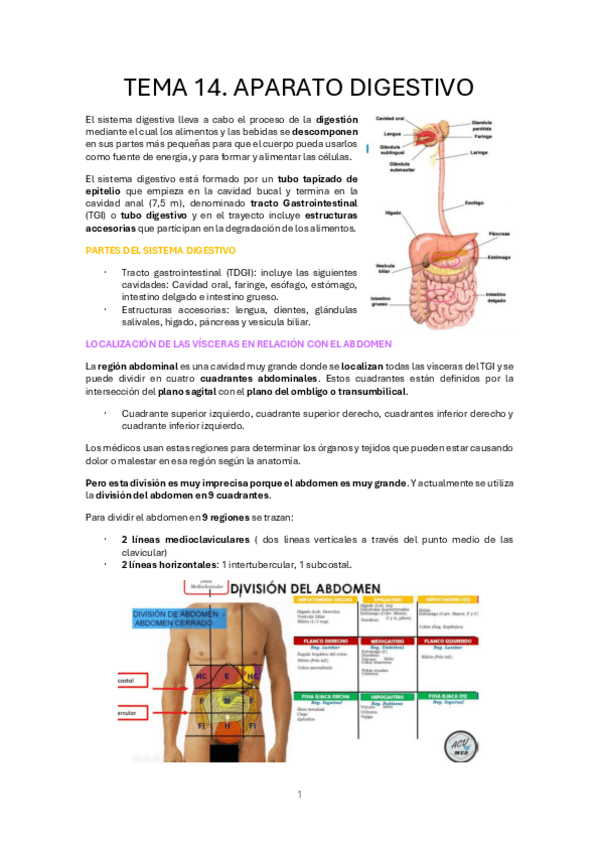 Miniatura del documento TEMA-14.-APARATO-DIGESTIVO-1.pdf