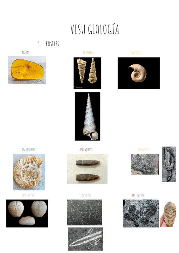 Miniatura del documento VISU-GEOLOGIA ( fósiles ).pdf