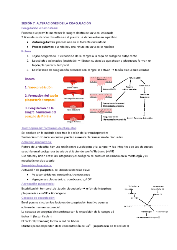 Miniatura del documento Sesion-7-Fisiopato-Miguel.pdf